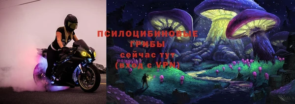 мескалин Гусиноозёрск