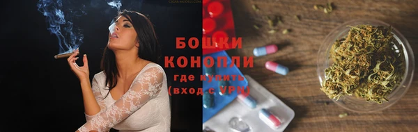 дурь Гусев