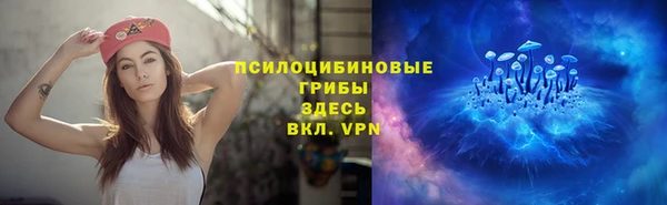 крисы Вяземский