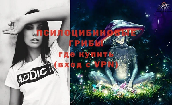 крисы Вяземский
