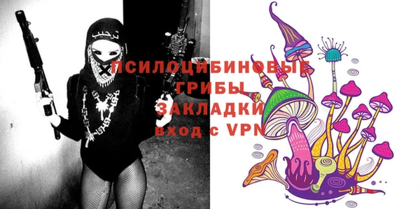 крисы Вяземский
