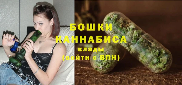 дурь Гусев